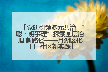 党建引领多元共治 “聪・明事理”探索基层治理 新路径——月湖区化工厂社区新实践