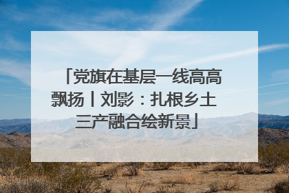 党旗在基层一线高高飘扬丨刘影：扎根乡土 三产融合绘新景