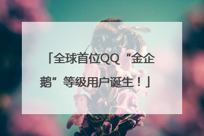 全球首位QQ“金企鹅”等级用户诞生！