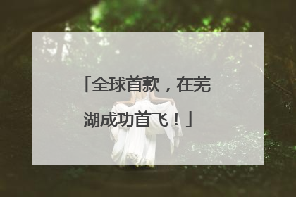 全球首款，在芜湖成功首飞！
