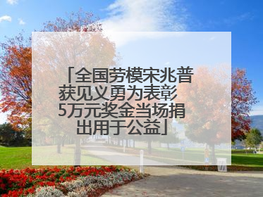 全国劳模宋兆普获见义勇为表彰 5万元奖金当场捐出用于公益