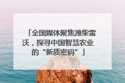 全国媒体聚焦潍柴雷沃，探寻中国智慧农业的“新质密码”
