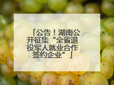 公告！湖南公开征集“全省退役军人就业合作签约企业”