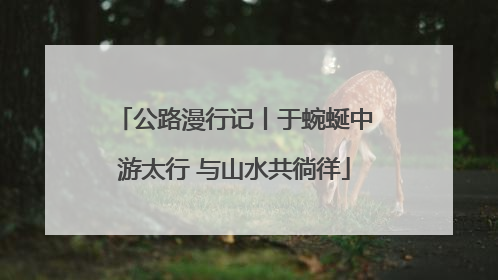 公路漫行记丨于蜿蜒中游太行 与山水共徜徉