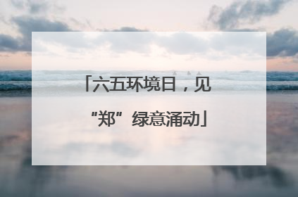 六五环境日，见“郑”绿意涌动
