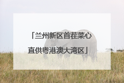 兰州新区首茬菜心直供粤港澳大湾区