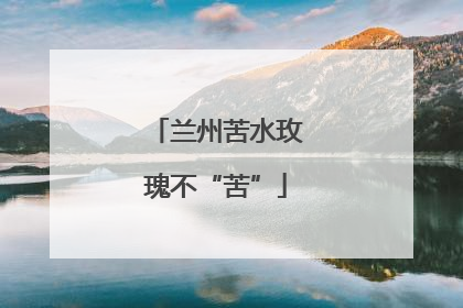 兰州苦水玫瑰不“苦”