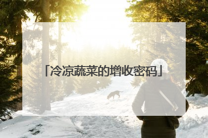 冷凉蔬菜的增收密码