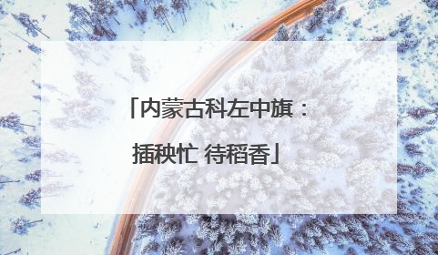 内蒙古科左中旗：插秧忙 待稻香