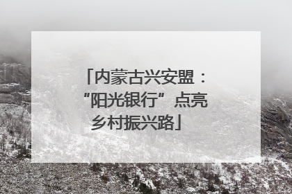 内蒙古兴安盟：“阳光银行”点亮乡村振兴路