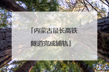 内蒙古最长高铁隧道完成铺轨