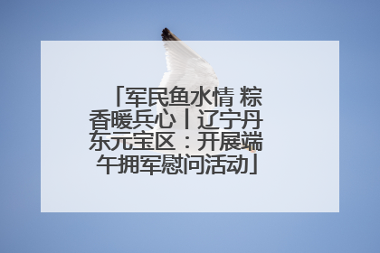 军民鱼水情 粽香暖兵心丨辽宁丹东元宝区：开展端午拥军慰问活动