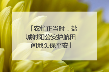 农忙正当时，盐城射阳公安护航田间地头保平安