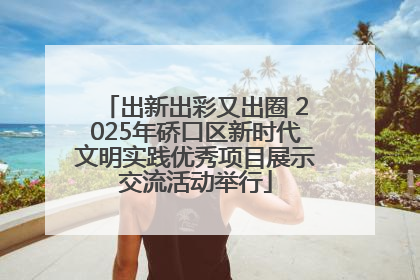 出新出彩又出圈 2025年硚口区新时代文明实践优秀项目展示交流活动举行
