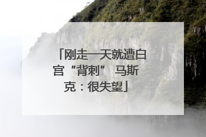 刚走一天就遭白宫“背刺” 马斯克：很失望