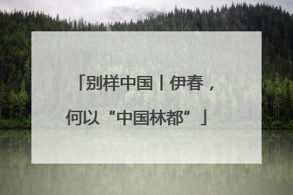 别样中国丨伊春，何以“中国林都”