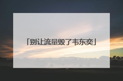 别让流量毁了韦东奕