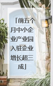 前五个月中小企业产业园入驻企业增长超三成