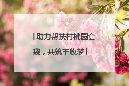 助力帮扶村桃园套袋，共筑丰收梦
