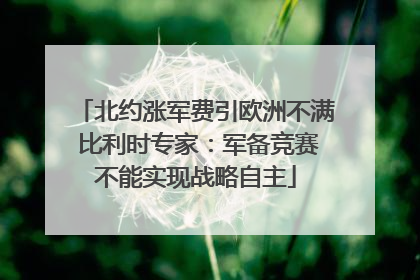 北约涨军费引欧洲不满 比利时专家：军备竞赛不能实现战略自主