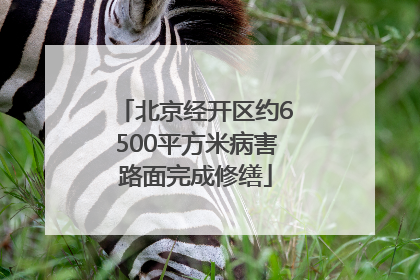北京经开区约6500平方米病害路面完成修缮