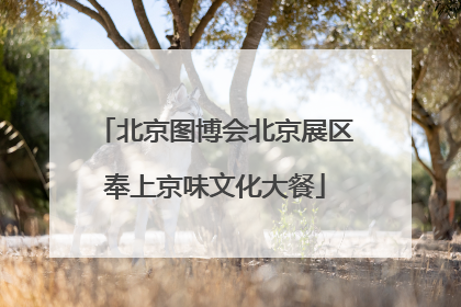 北京图博会北京展区奉上京味文化大餐