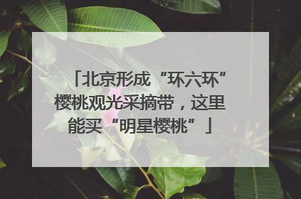 北京形成“环六环”樱桃观光采摘带，这里能买“明星樱桃”