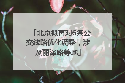 北京拟再对6条公交线路优化调整，涉及丽泽路等地