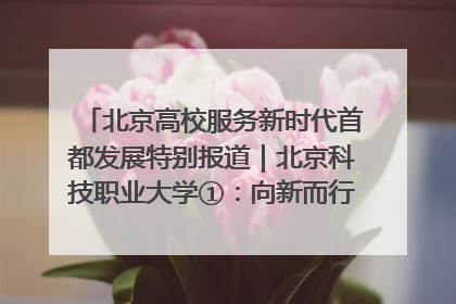 北京高校服务新时代首都发展特别报道｜北京科技职业大学①：向新而行，为首都低空经济发展提供“即战力”
