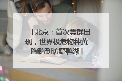 北京：首次集群出现，世界极危物种黄胸鹀到访野鸭湖