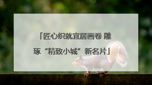 匠心织就宜居画卷 雕琢“精致小城”新名片