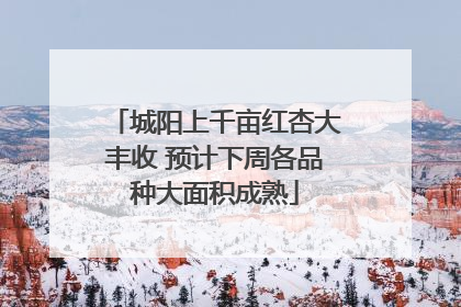 城阳上千亩红杏大丰收 预计下周各品种大面积成熟