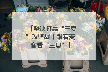 坚决打赢“三夏”攻坚战丨跟着麦客看“三夏”