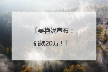 吴艳妮宣布：捐款20万！