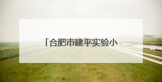 合肥市建平实验小学第七届艺术节巴乌专场比赛圆满举行