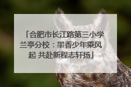 合肥市长江路第三小学兰亭分校：墨香少年乘风起 共赴新程志轩扬