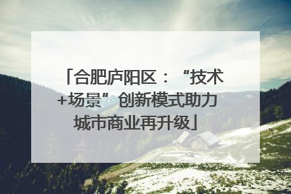 合肥庐阳区：“技术+场景”创新模式助力城市商业再升级
