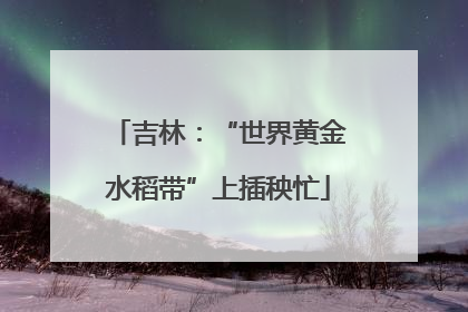 吉林：“世界黄金水稻带”上插秧忙