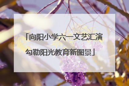 向阳小学六一文艺汇演勾勒阳光教育新图景