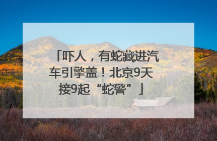 吓人，有蛇藏进汽车引擎盖！北京9天接9起“蛇警”