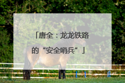 唐全：龙龙铁路的“安全哨兵”