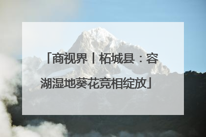 商视界丨柘城县：容湖湿地葵花竞相绽放