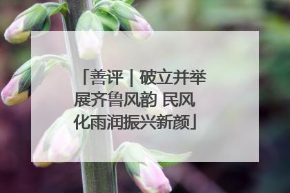 善评｜破立并举展齐鲁风韵 民风化雨润振兴新颜