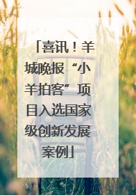喜讯！羊城晚报“小羊拍客”项目入选国家级创新发展案例