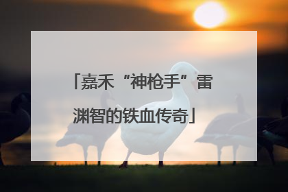 嘉禾“神枪手”雷渊智的铁血传奇