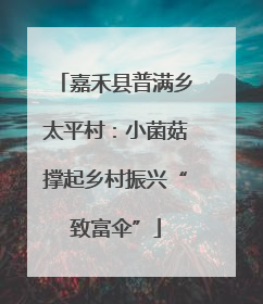 嘉禾县普满乡太平村：小菌菇撑起乡村振兴“致富伞”