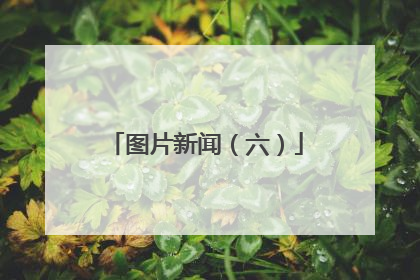 图片新闻（六）