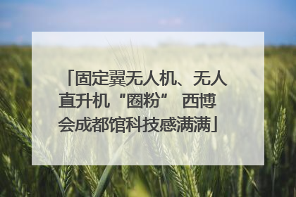 固定翼无人机、无人直升机“圈粉” 西博会成都馆科技感满满