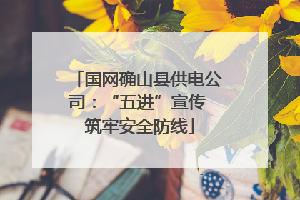 国网确山县供电公司：“五进”宣传 筑牢安全防线