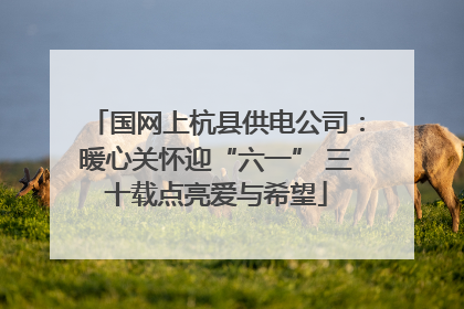 国网上杭县供电公司：暖心关怀迎“六一” 三十载点亮爱与希望